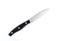 pisau : small knife